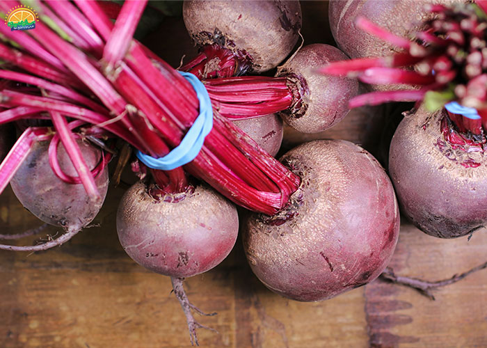 خواص چغندر لبو برای سلامت دستگاه گوارش و هضم غذا