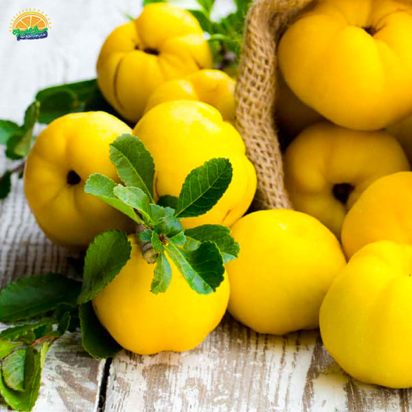 خواص ضدسرطانی به