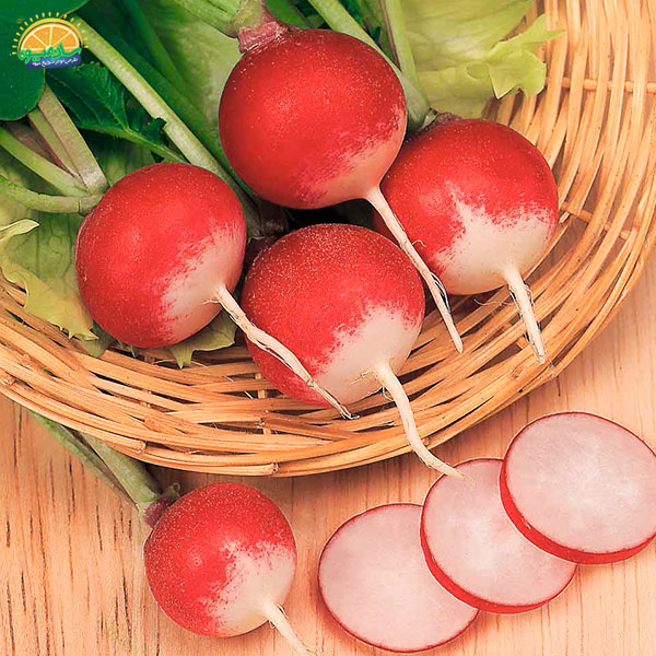 خواص سبزی خوردن: 1. خواص درمانی انواع تربچه