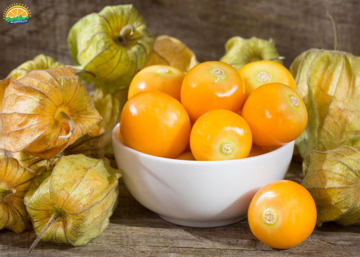 خواص فیسالیس برای پوست