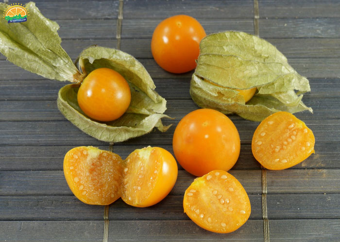خواص فیسالیس برای کلیه