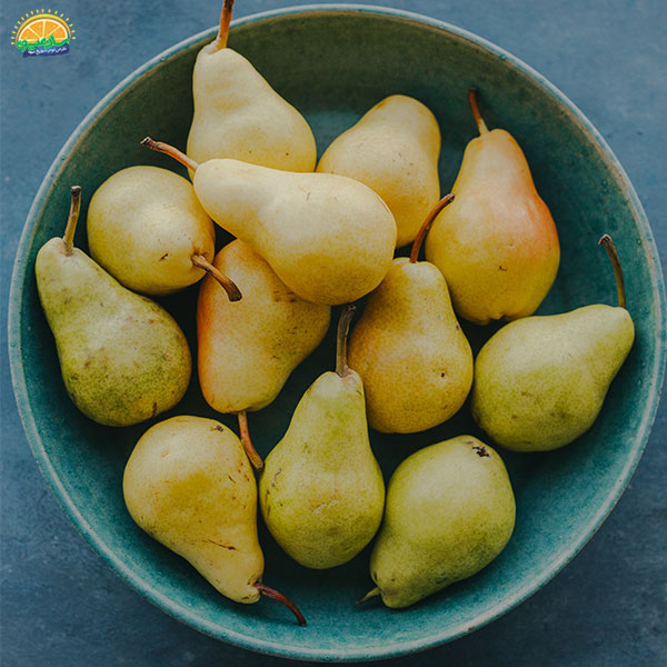 خواص گلابی بیروتی در طب سنتی