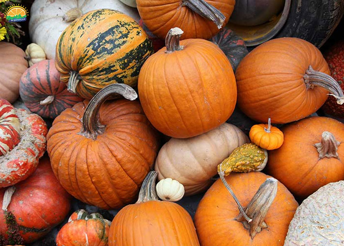 خواص کدو حلوایی برای سلامت قلب