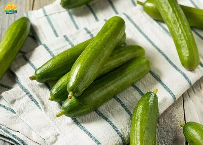 سلامت قلب با مصرف خیار اصفهانی