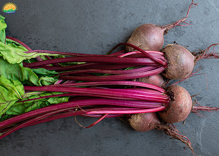 خواص لبو برای مردان