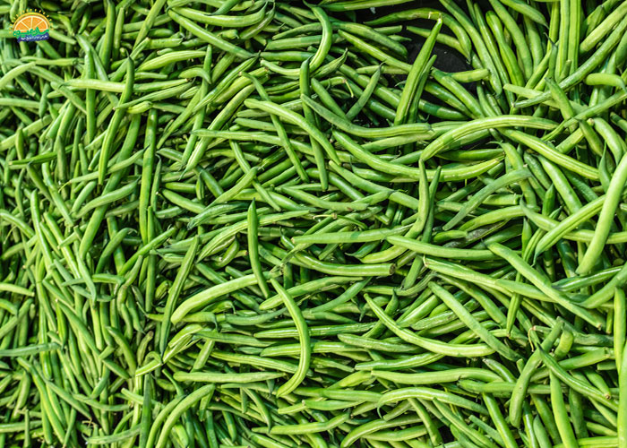 لوبیا سبز و سلامت چشم‌ها