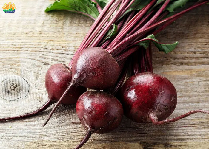 خواص تغذیه‌ای چغندر لبو