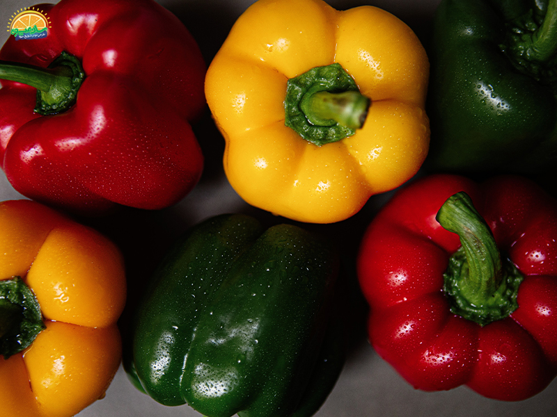 خواص تغذیهای فلفل دلمه