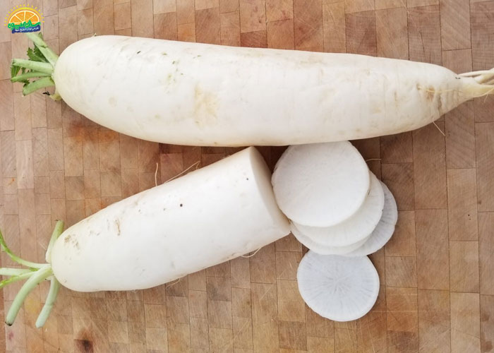 خواص ترب سفید برای کاهش وزن و لاغری 