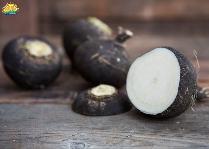 خواص ترب سیاه با ماست، آری یا خیر؟