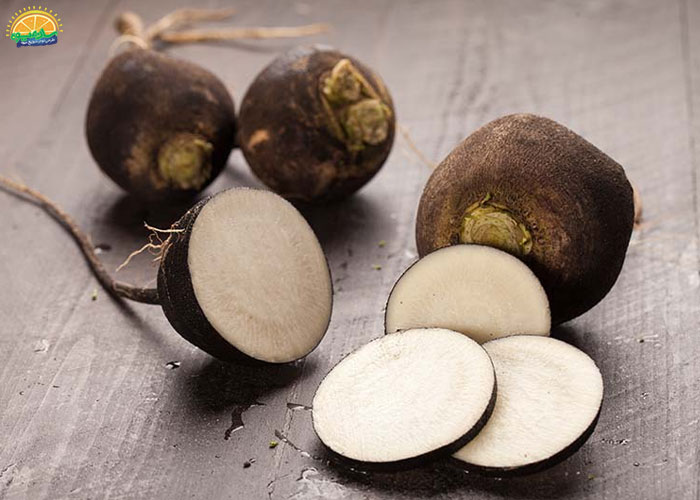 خواص ترب سیاه برای معده