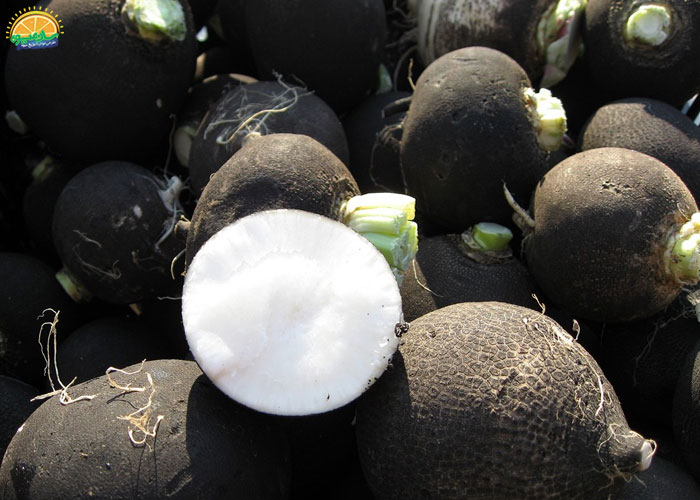 خواص ترب سیاه برای پروستات