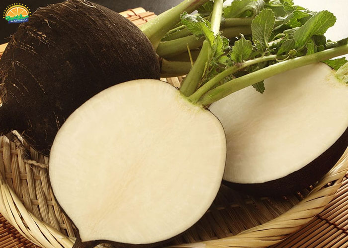 خواص ترب سیاه برای رحم