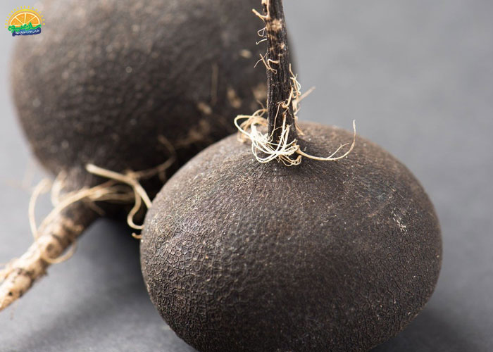 خواص ترب سیاه و سفید