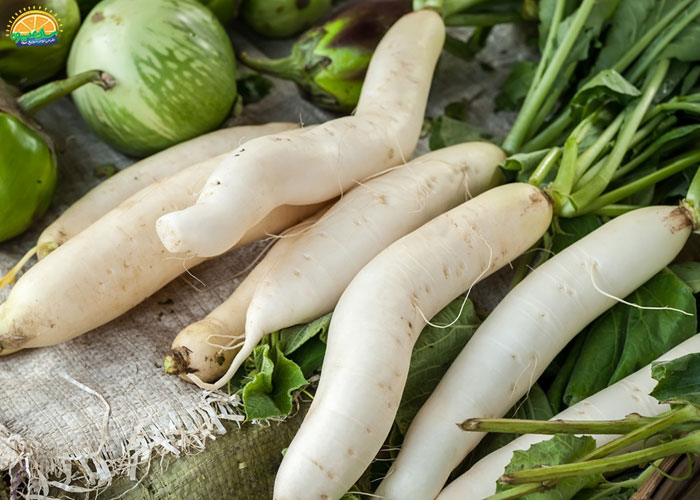 خواص و فواید ترب سفید