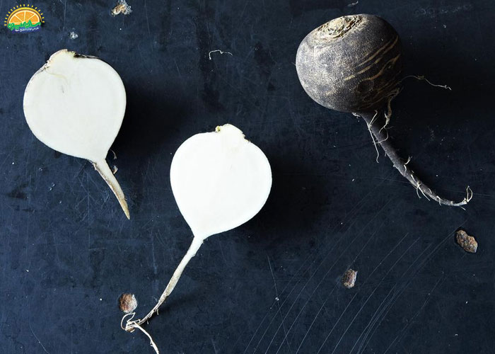 خواص و فواید ترب سیاه برای قلب و عروق