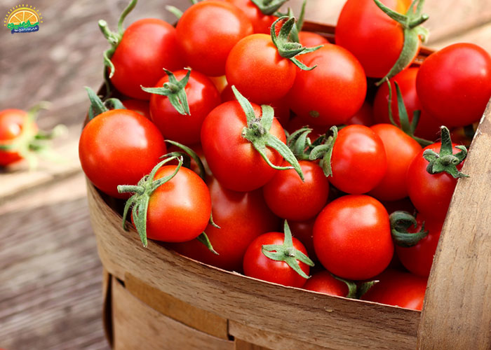 خواص و مضرات گوجه گیلاسی