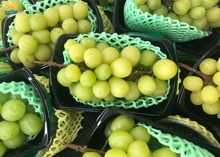 ویتامین‌ها و مواد مغذی انگور مهره