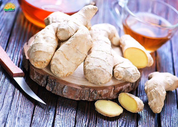 خواص زنجبیل برای مردان