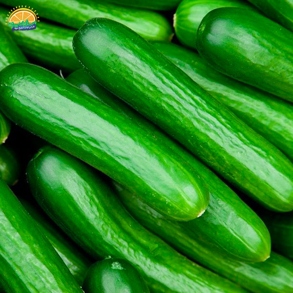 خیار سالادی و دیابت