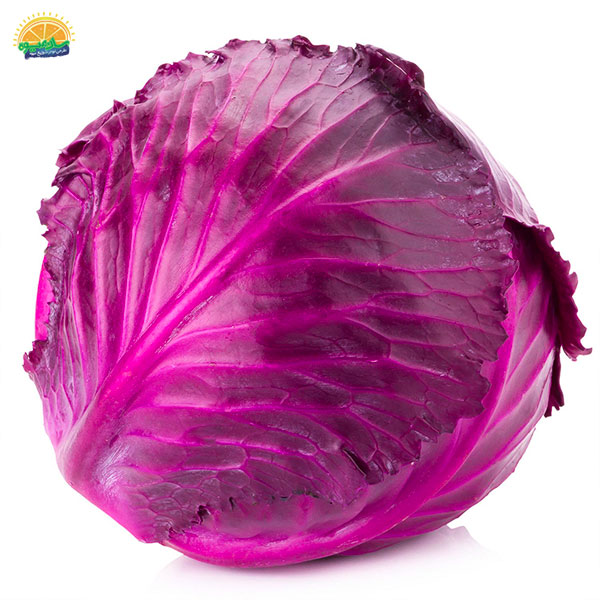 کلم قرمز Red Cabbage