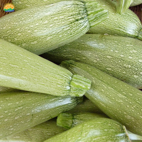 کمک به کاهش وزن