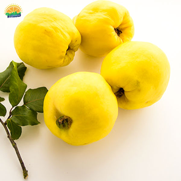 کمک به کاهش وزن با مصرف به