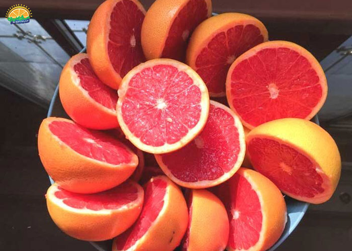 کنترل اشتها با مصرف گریپ فروت
