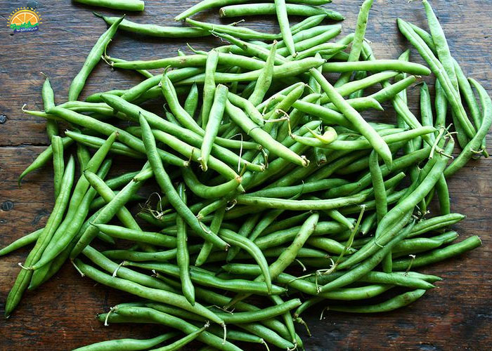 پروتئین موجود در لوبیا سبز