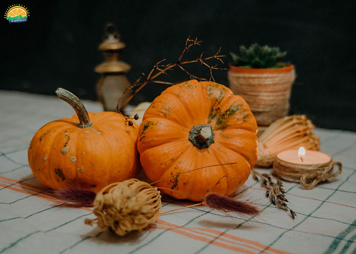 مضرات کدو حلوایی