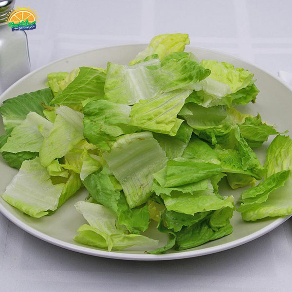 مقایسه کاهو پیچ با سایر سبزیجات