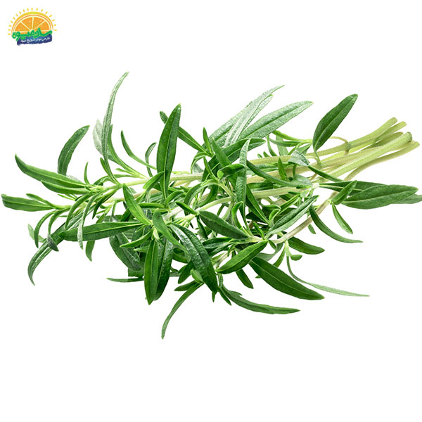 مرزه، ضدعفونی‌کننده‌ی قوی و خوشبوکننده‌ی بدن - سبزی خوردن آنتی باکتریال