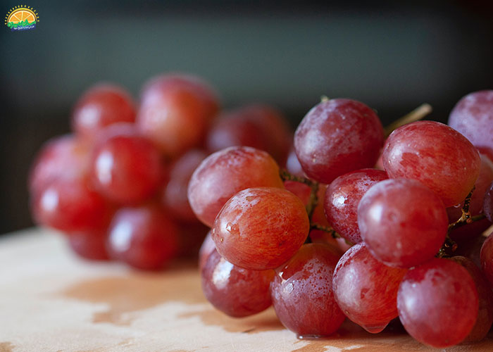 مشخصات انگور قرمز بی دانه