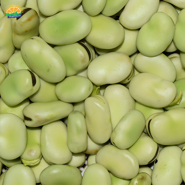 مصرف باقالی سبز برای بیماران پارکینسون