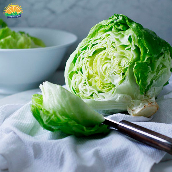 مصرف کاهو پیچ در دوران بارداری