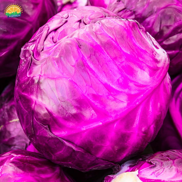 مصرف کلم قرمز برای بیماران دیابتی