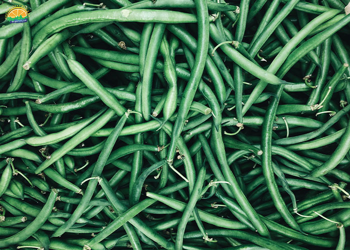 لوبیا سبز و مواد مغذی موجود در آن