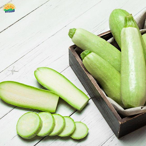 کدو میوه سبز تابستانی