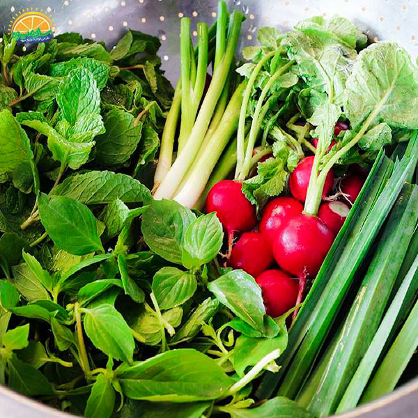 نحوه‌ی نگهداری از بسته سبزی خوردن