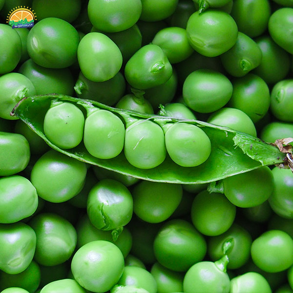 نخود فرنگی سیرکننده و منبعی غنی از پروتئین