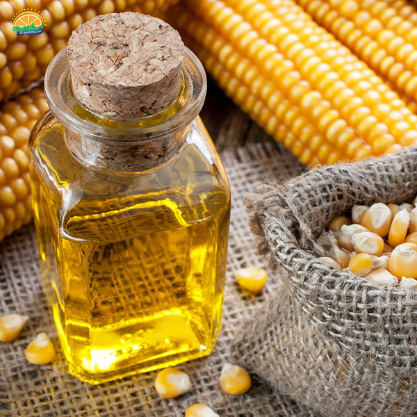 روغن ذرت – روغن پرمصرف در آشپزی