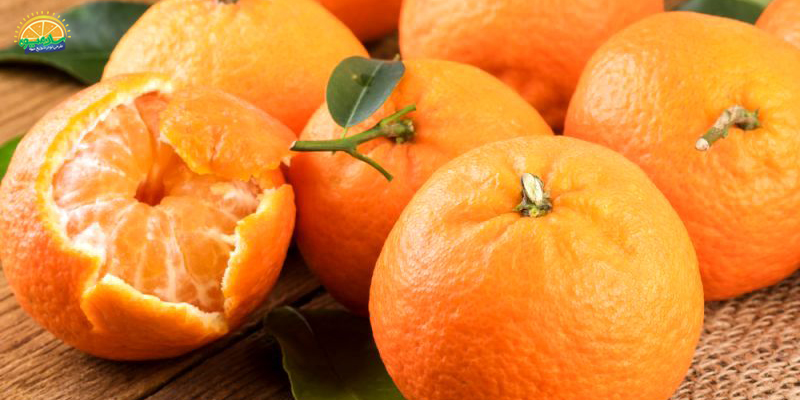 خوردن نارنگی و کاهش التهابات بدن
