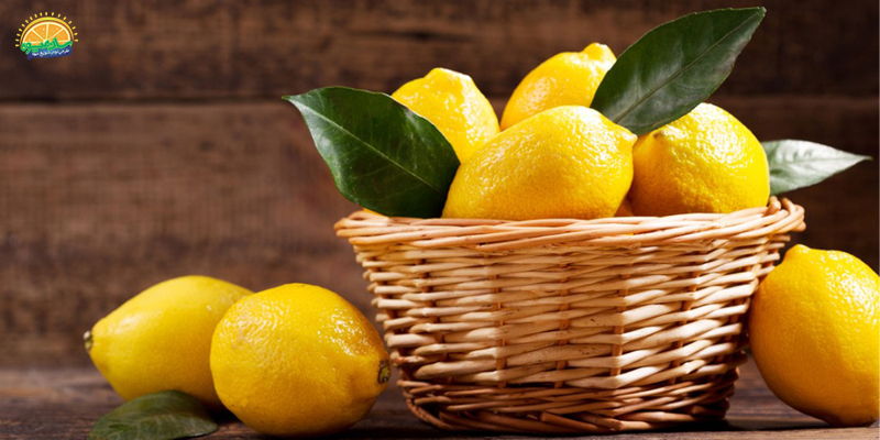 تاثیر لیمو شیرین بر سلامت پوست و مو