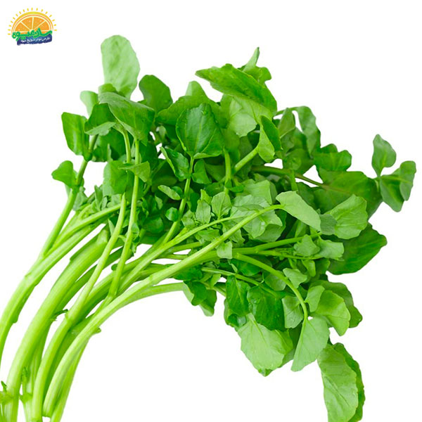 عضو سلطنتی بسته سبزی خوردن: شاهی، پشتیبان و همراه کلیه‌ها