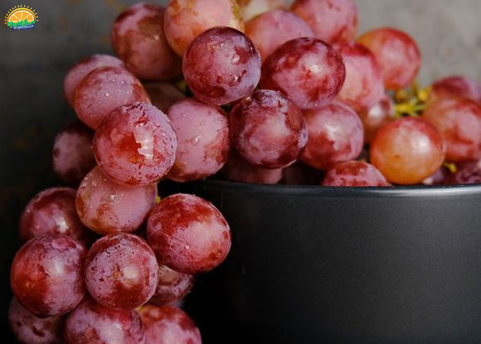 خواص انگور قرمز بی دانه برای سلامت چشمها