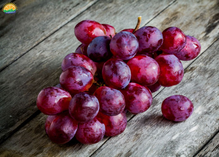 سلامت مغز با انگور قرمز بی دانه