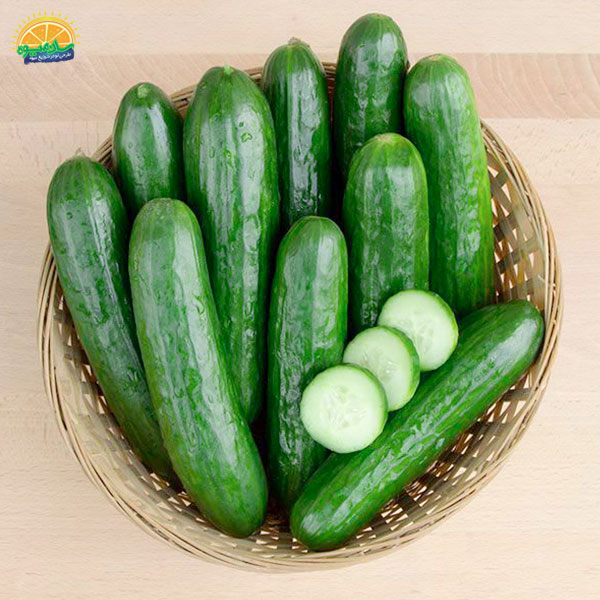 سلامت پوست با مصرف خیار سالادی در رژیم غذایی روزانه