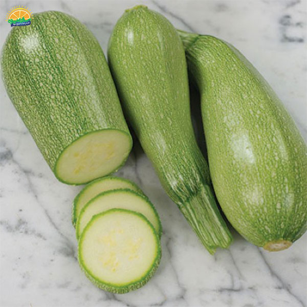 کدو سبز سرشار از مواد معدنی و ویتامینها