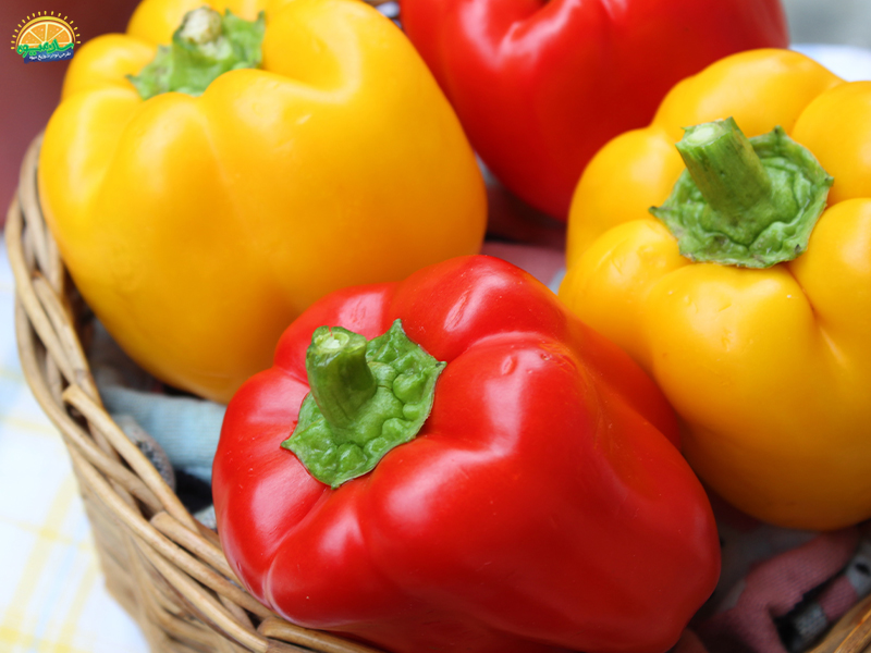 تاثیر مصرف فلفل دلمه بر سلامت چشم‌ها