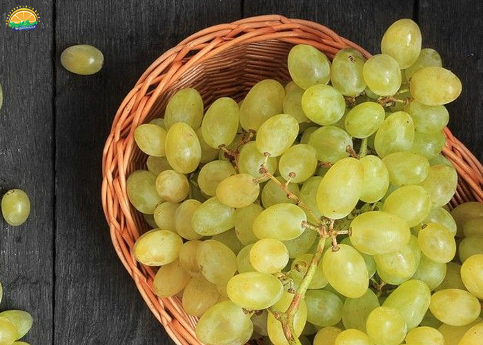 طبع انگور مهره در طب سنتی